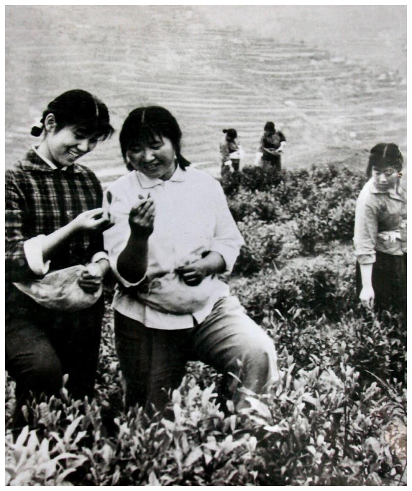 当年的插队知青30年后再次回到小山村见到初恋二人都流泪了