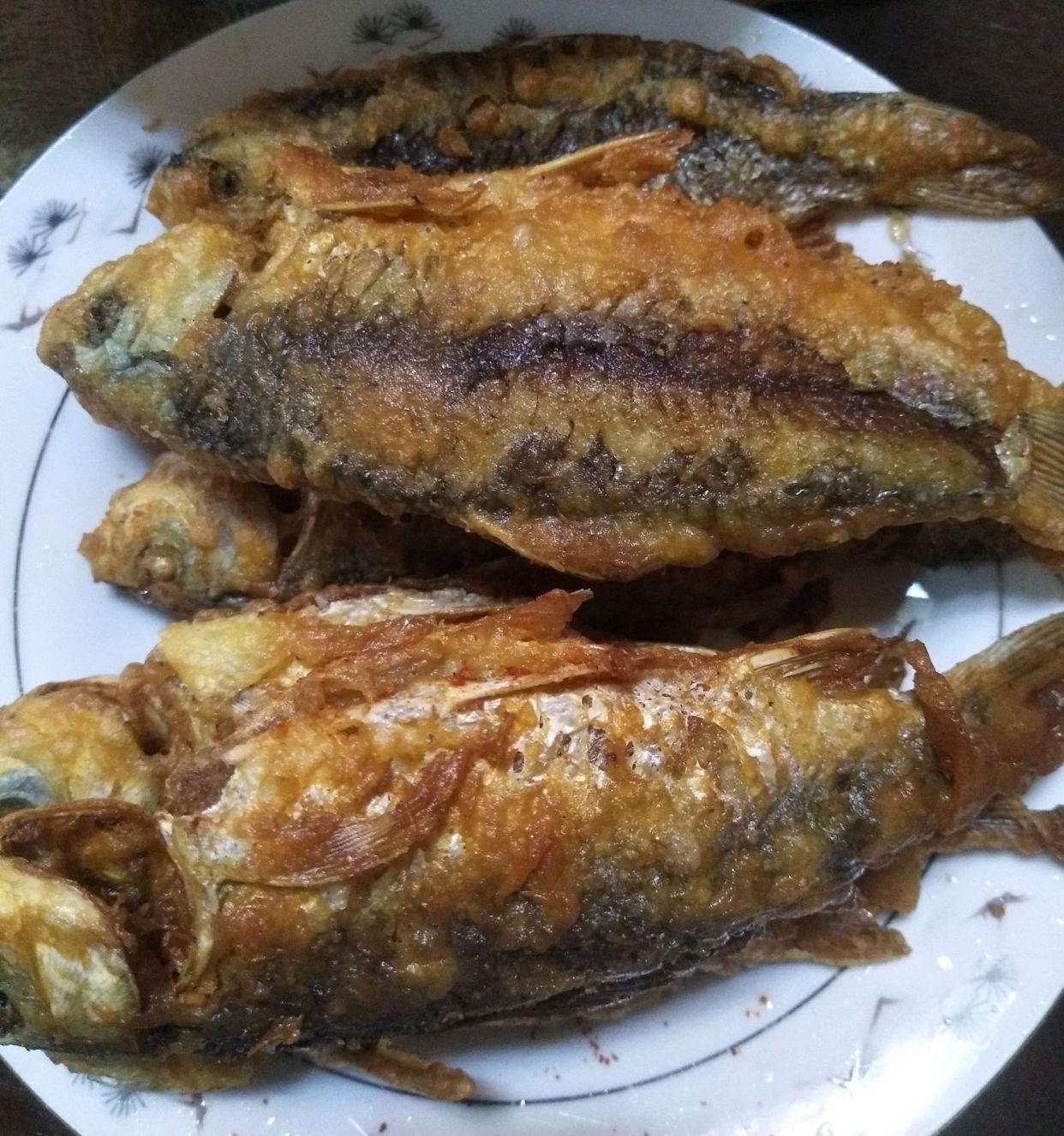 幹炸野生鯽魚比飯店裡的好吃