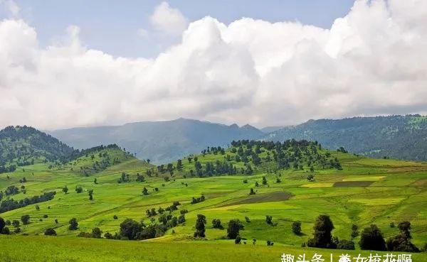 巴西高原景观图图片