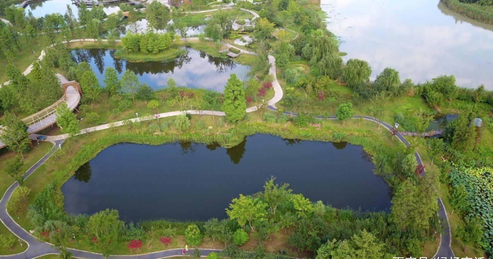 仲夏时节,江苏省扬州市运河三湾风景区草木苍翠,绿意醉人,湿地与城市
