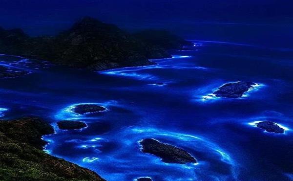 蓝色大海的传说?福建海滩现蓝眼泪奇观,整条海岸线如浩瀚的银河