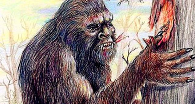 历史上对于野人的记载:亲历者证明它们真实存在过__财经头条