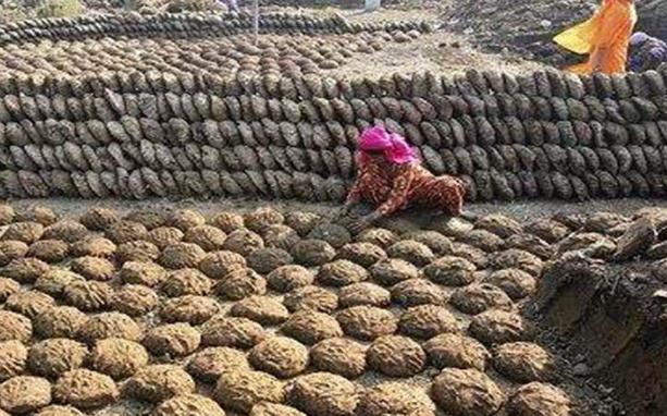 全世界"最脏的狂欢节","牛粪"漫天飞,身上粘得多越高兴!