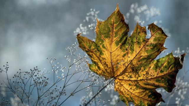 黄庭坚送给好友的一首宋诗,28字提到了两个当时很著名的词人休闲区蓝鸢梦想 - Www.slyday.coM 黄庭坚送给好友的一首宋诗,28字提到了两个当时很著名的词人休闲区蓝鸢梦想 - Www.slyday.coM