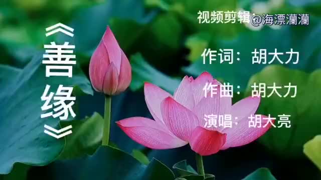 胡大亮演唱善缘感谢你的善感恩你的缘爱就在人间好人一生平安