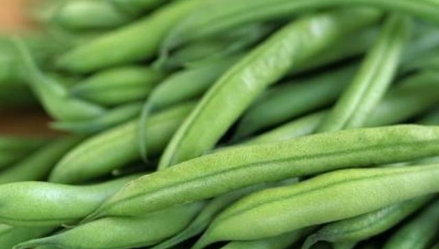 强大的豆角家族，菜豆、扁豆、四季豆、<a href=