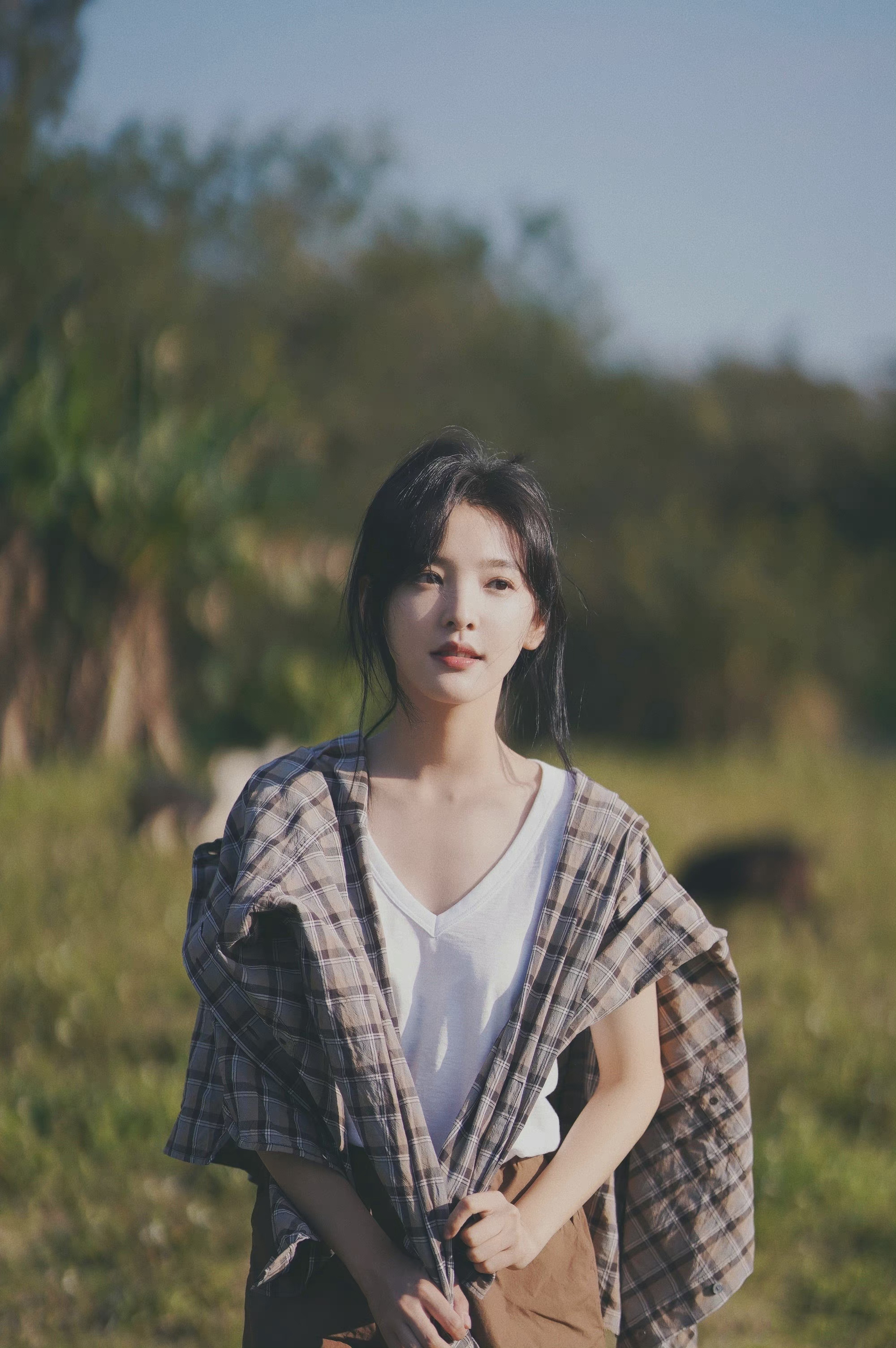 赤石脂禹余粮丸(赤石脂禹余粮丸原文)