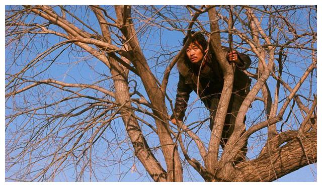 hello树先生树哥用啥找回了尊严