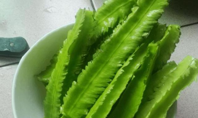 强大的豆角家族，菜豆、扁豆、四季豆、<a href=