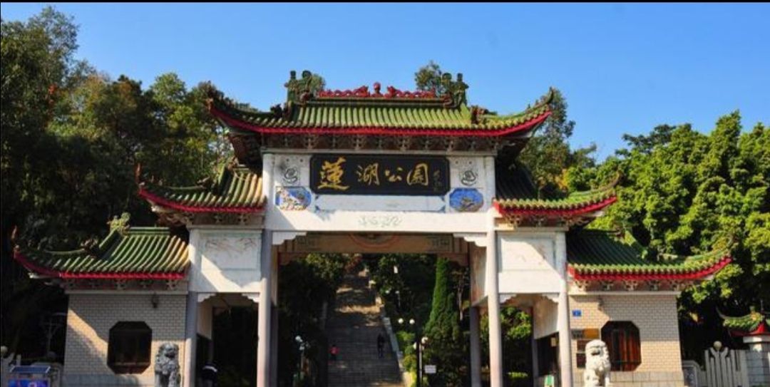 广东东莞桥头镇莲湖公园夏季赏荷花留念