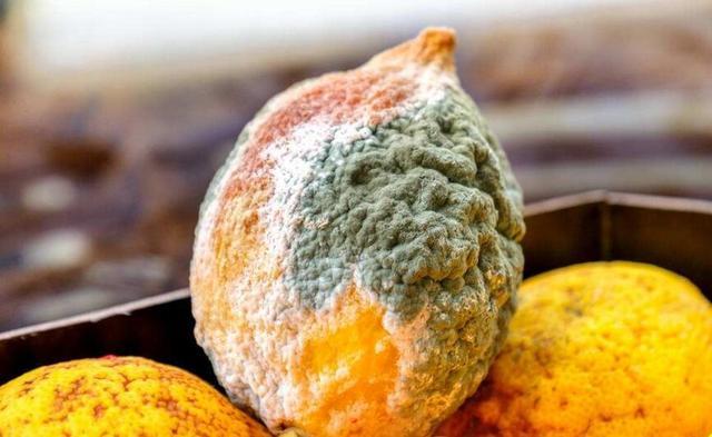 糖是人体功能所必需的物质,但它是不允许吃太多糖果如巧克力和糖果的