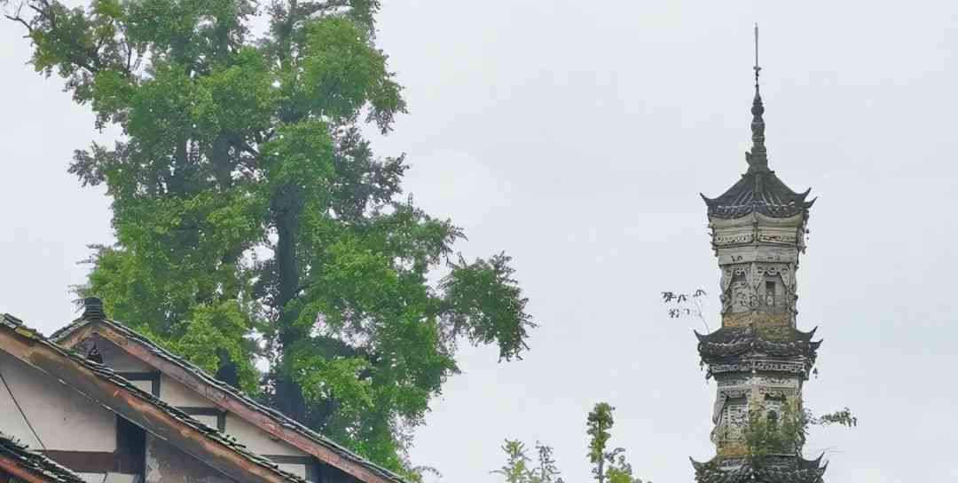 曾经人流量很大的四川古镇，节假日时人山人海，现在却冷冷清清