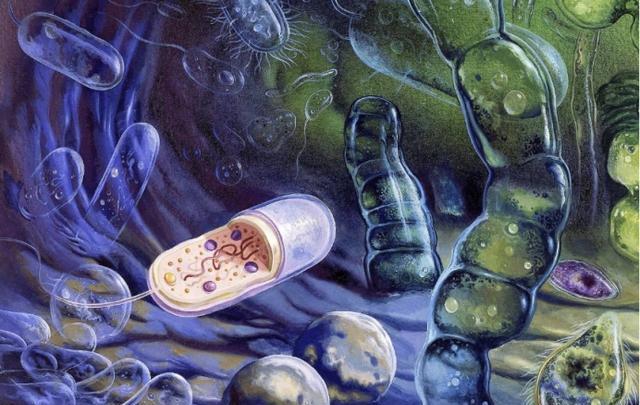 地球首个生命体，能同时有DNA和RNA？新发现吓坏科学家