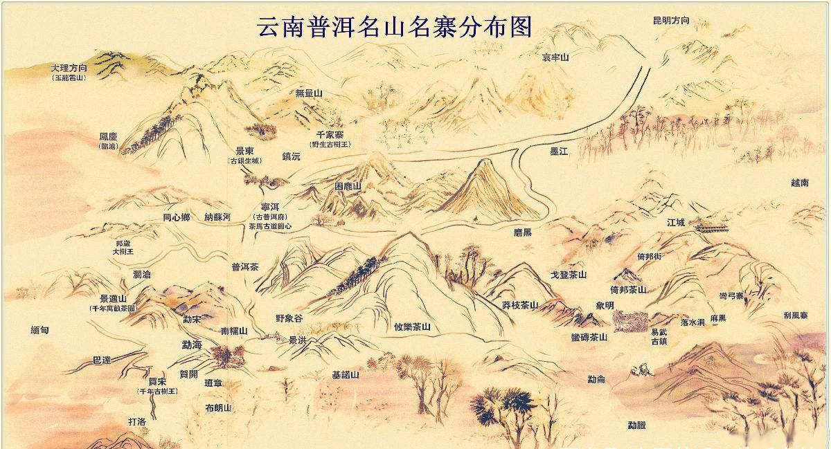 聚一曲心灵深处,茶香永存