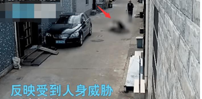浙江一七旬老太当街被捅死，现场画面曝光休闲区蓝鸢梦想 - Www.slyday.coM
