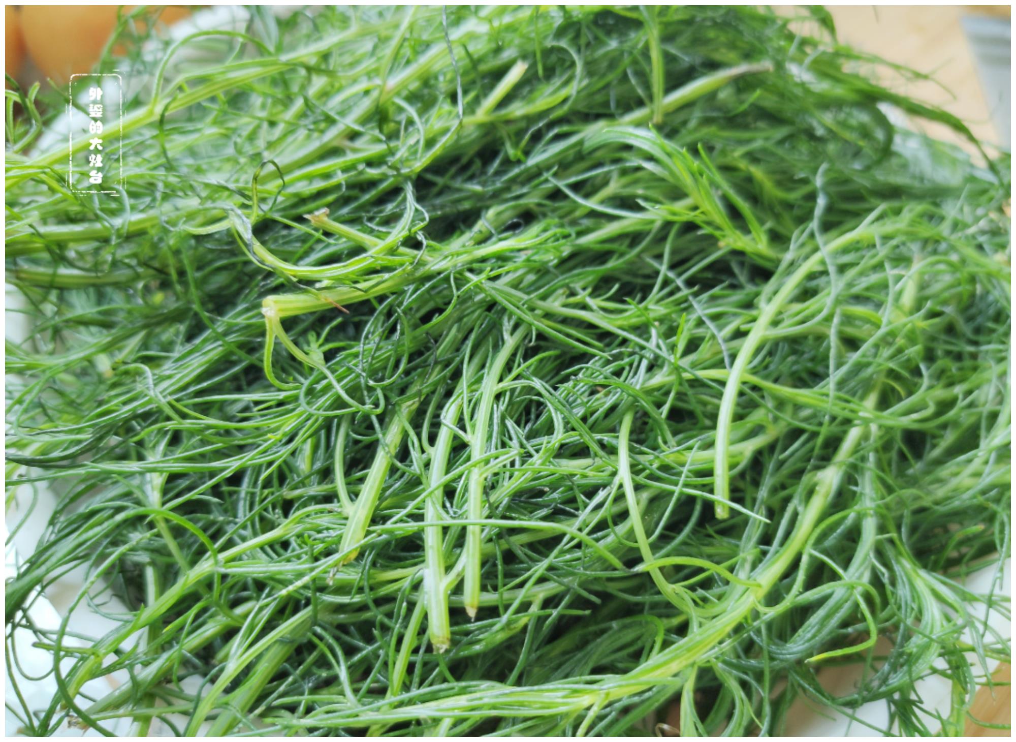 这野菜名字让人倒胃口,味道是真香,吃过的人不多,遇见别错过|猪毛菜