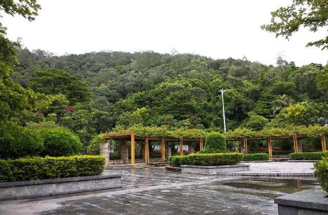 在深圳到宝安区的平峦山公园走一走