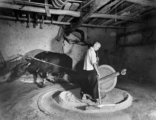 1941年成都龙泉驿高清老照片,似乎瞬间穿越了