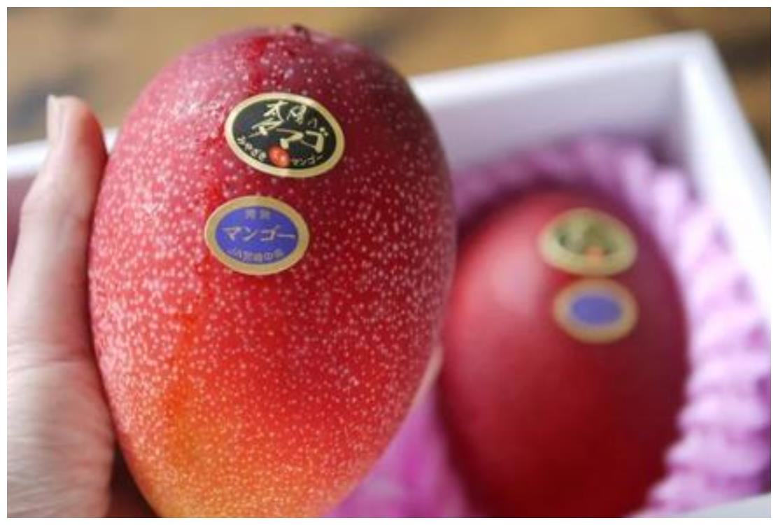 犹如它的名字,这种芒果的果皮是红色的,非常的艳丽,个头