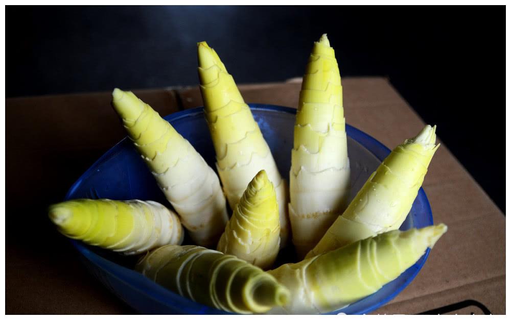 现在正值吃春笋的好季节,但很多朋友抱怨不太会买竹笋,尤其是北方的