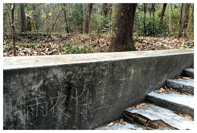 军统戴笠墓地:尸体烧焦戴着面具下葬,7个老农挖了一星期才挖开