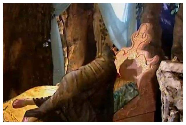 拍摄西游记时竟然用过真蟒蛇导演你的胆子真大