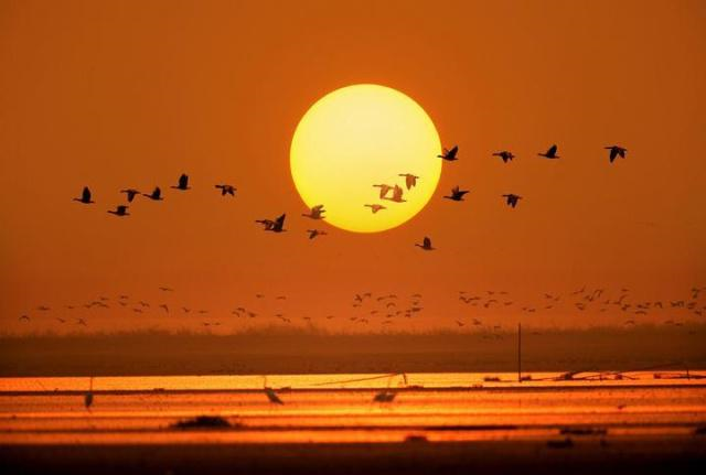 黄庭坚送给好友的一首宋诗,28字提到了两个当时很著名的词人休闲区蓝鸢梦想 - Www.slyday.coM 黄庭坚送给好友的一首宋诗,28字提到了两个当时很著名的词人休闲区蓝鸢梦想 - Www.slyday.coM