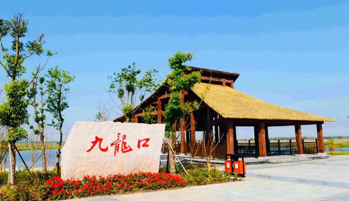 江苏盐城九龙口风景区,被专家学者称为"苏北里下河的明珠"_高清图集