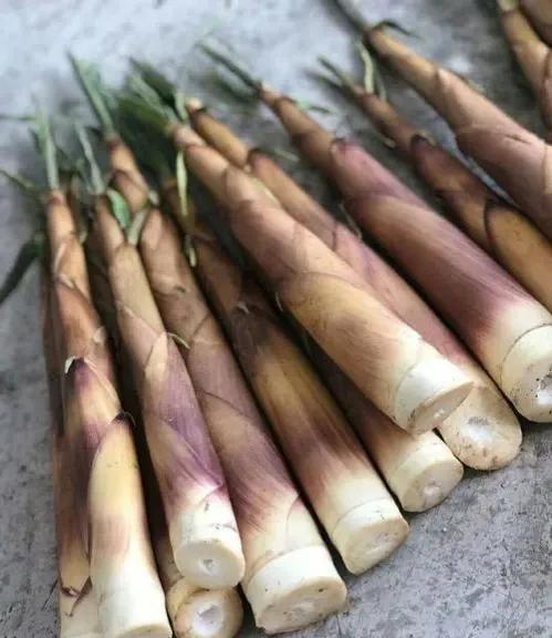 苦笋的做法与食用禁忌__财经头条