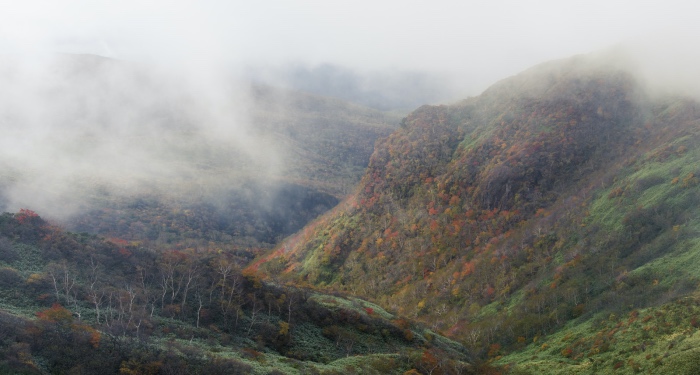 洗碗机产业增速“踩刹车”：新一轮引爆要靠智慧场景拉动？-家电圈官网