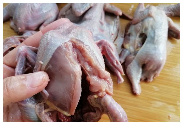 它被称为野珍上品,有"动物人参"美誉之称,3元1只,烤着吃特香|鹌鹑