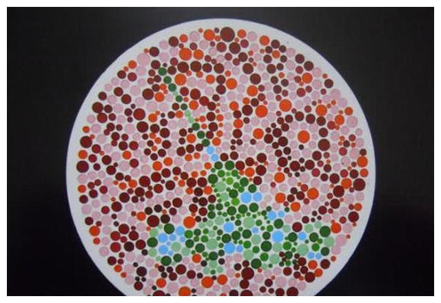 5张驾考色盲测试图若你一张看不出趁早放弃驾考的打算