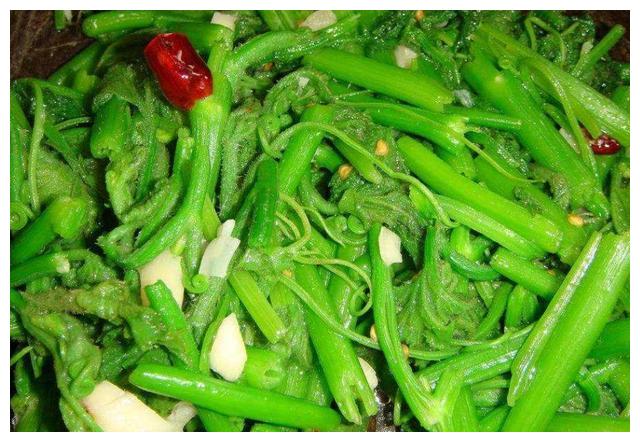 农村这菜随处可见没人吃,拿到城里卖到20元一斤,全都抢着买