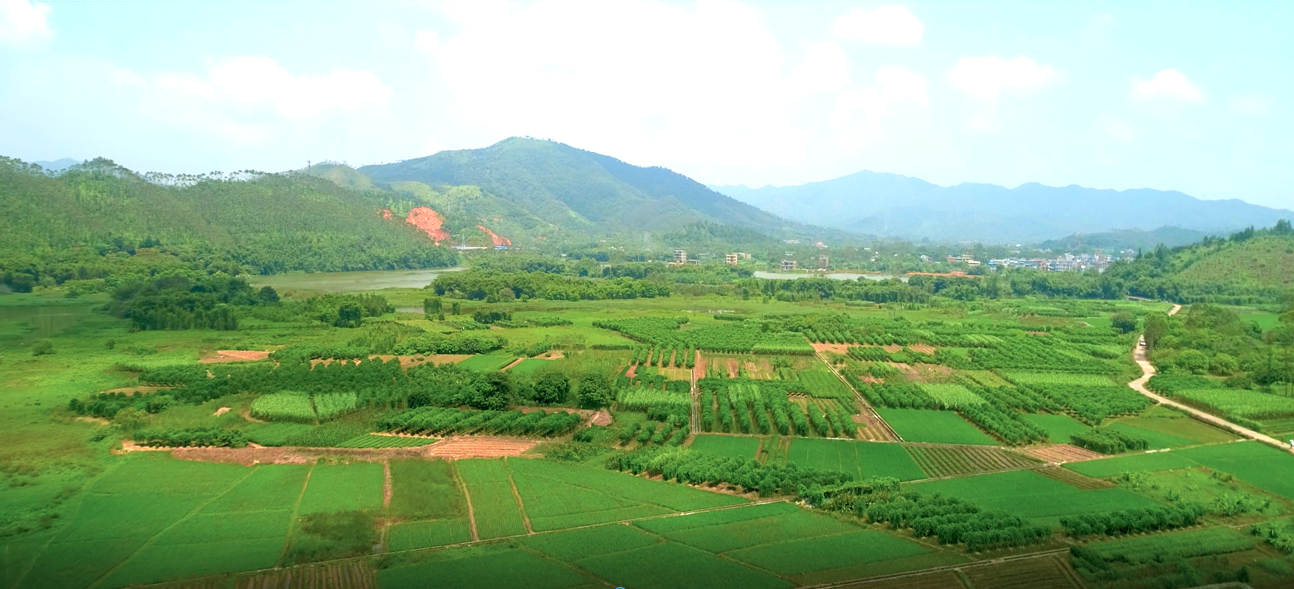 龙门县麻榨镇农旅节"云"上活动等你来参与|农产品|麻榨镇|龙门县_新浪
