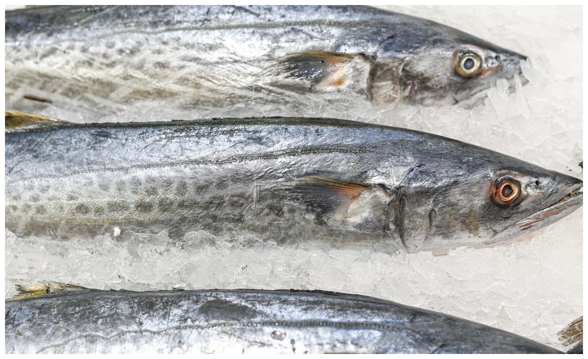 买带鱼,鱼鳞越亮的越新鲜?老渔民教你几招,好带鱼一挑一个准