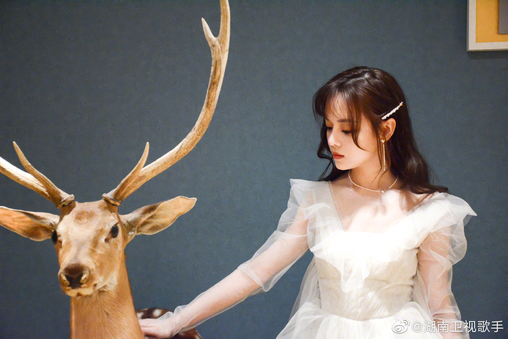 被骂这么久还敢调侃毛不易歌手突围赛中的黄霄云进步了吗