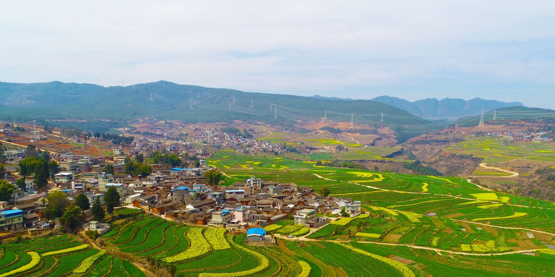 禄劝这里的油菜花开了,好漂亮!_高清图集_新浪网