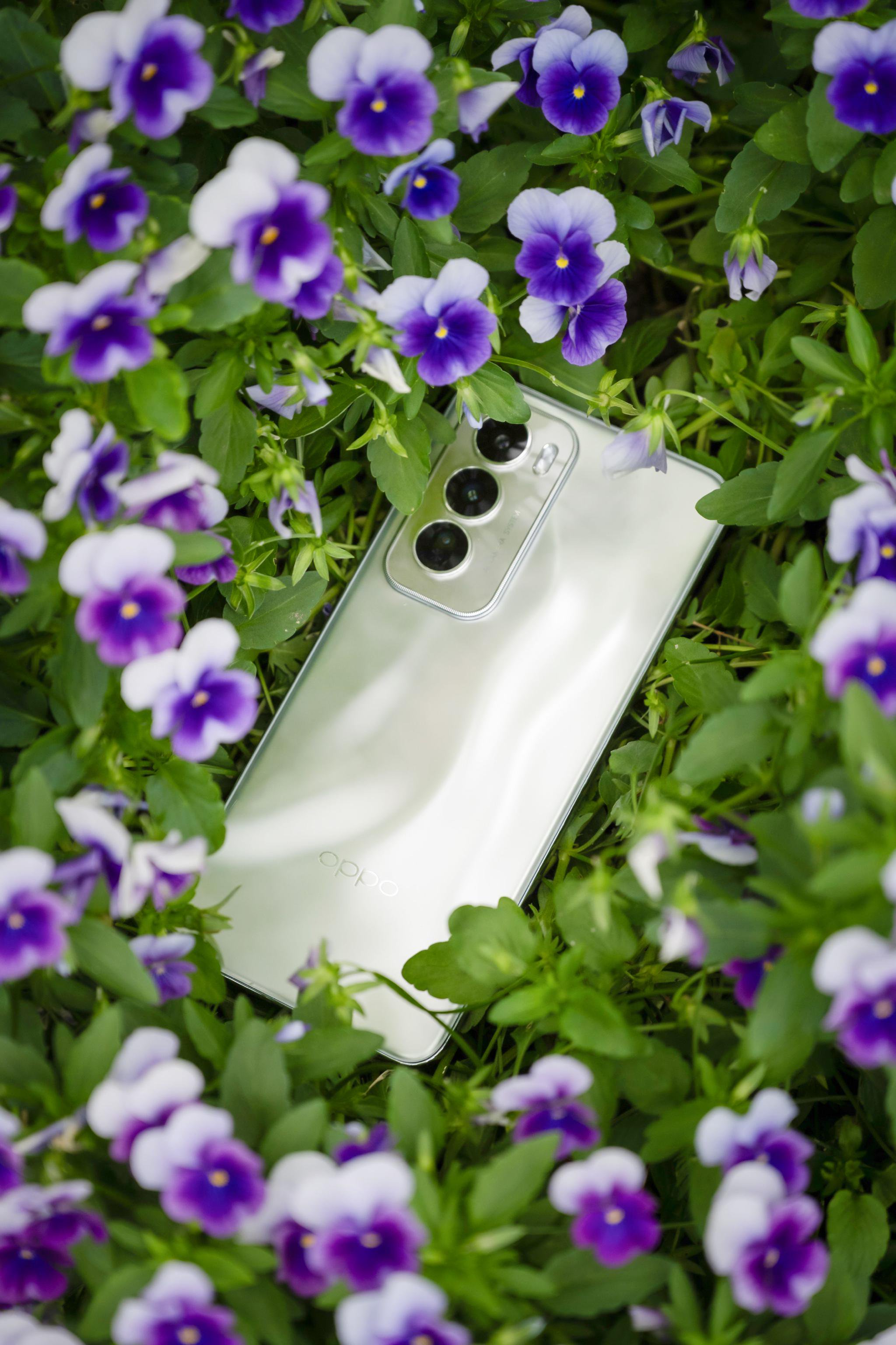 oppo reno12到手,手机美照走一波