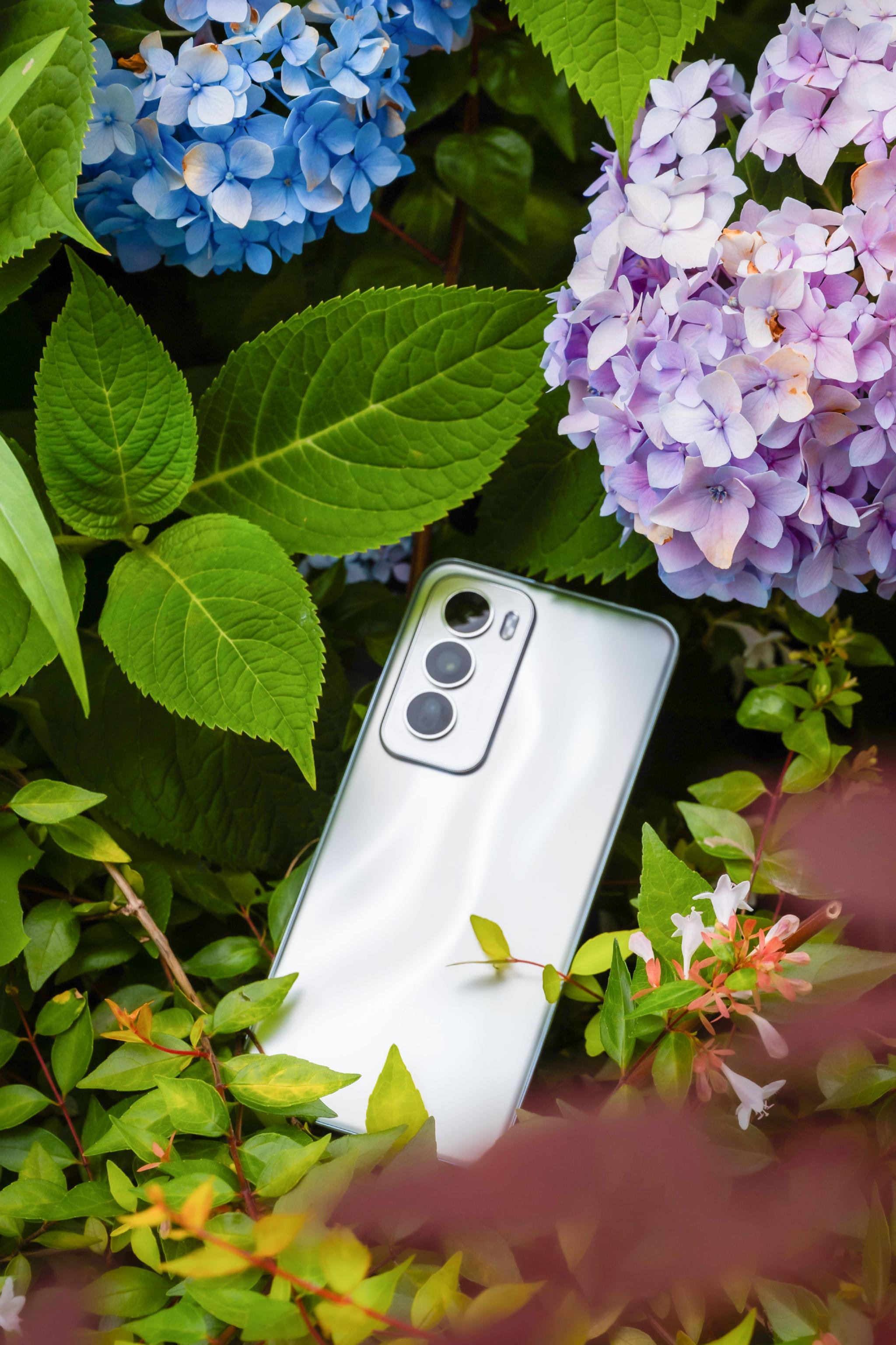 oppo reno12到手,手机美照走一波