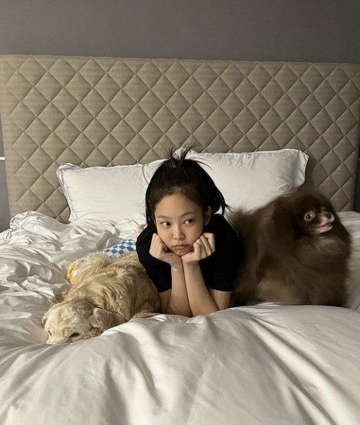 韩国女团blackpink成员jennie社交网站发布近照