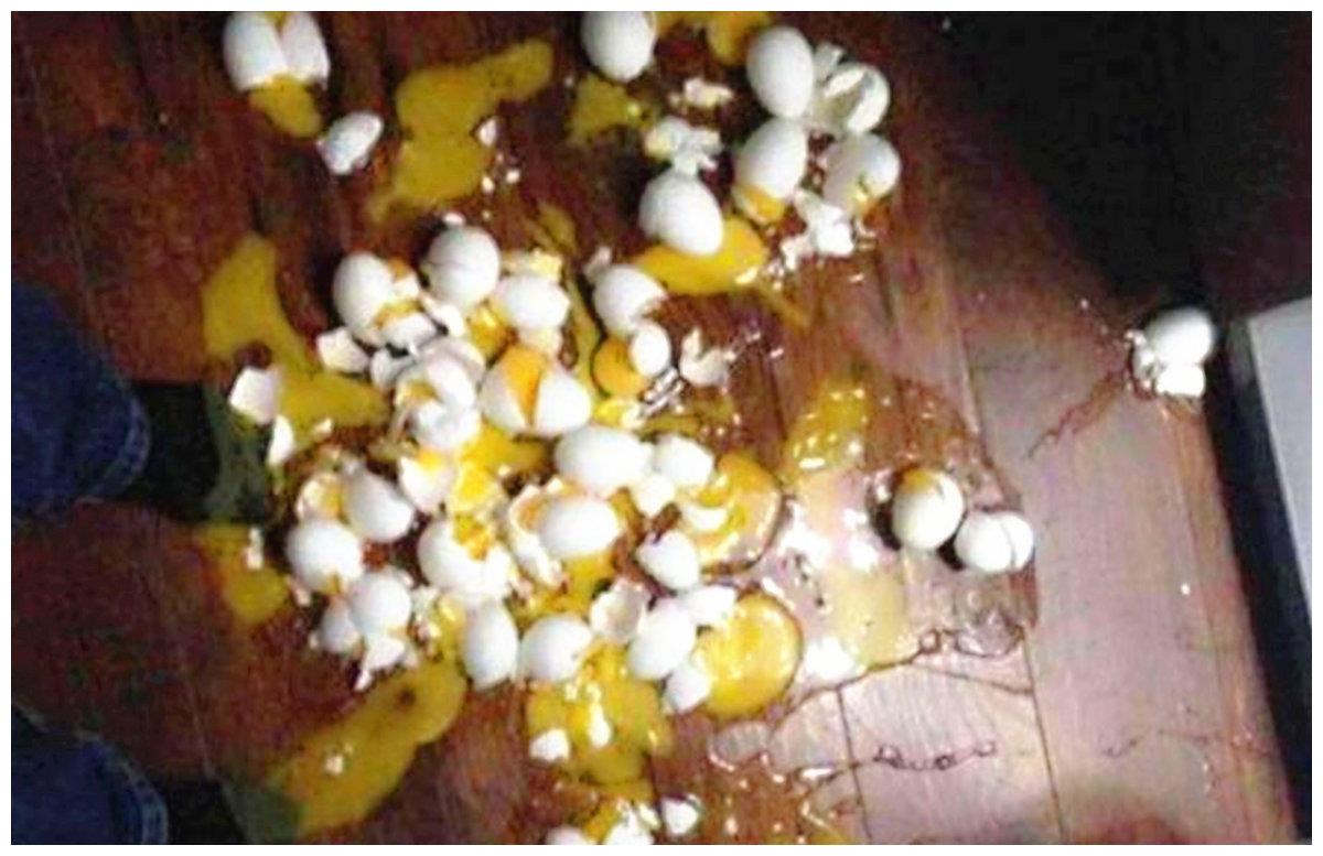 5岁儿子打碎一兜鸡蛋，店员让10倍赔，宝妈教科书式处理让人称赞休闲区蓝鸢梦想 - Www.slyday.coM