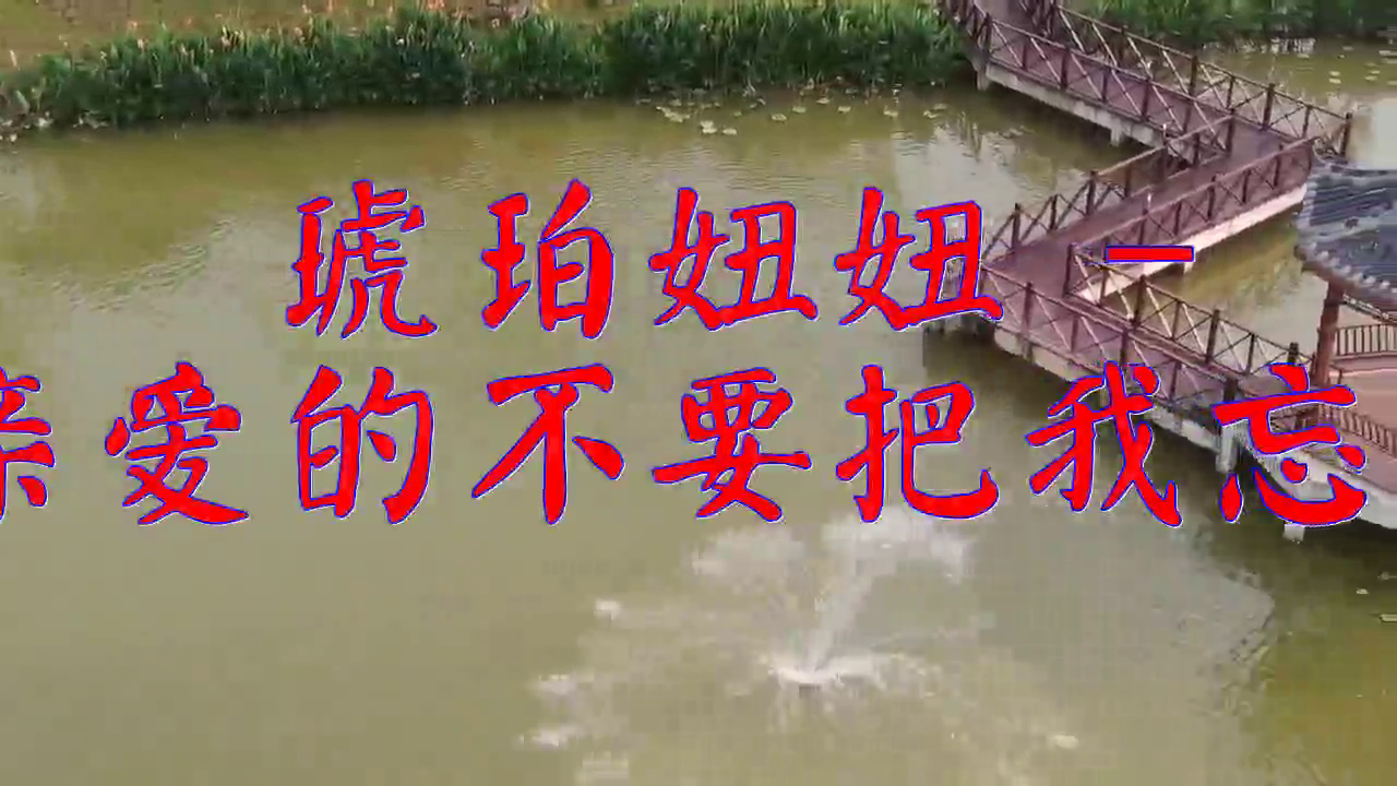 《琥珀妞妞 - 亲爱的不要把我忘记》,就这么有气质,好听