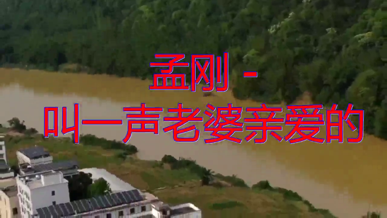 dj何鹏的一首《孟刚 - 叫一声老婆亲爱的》,嗓音独特,唯美动听