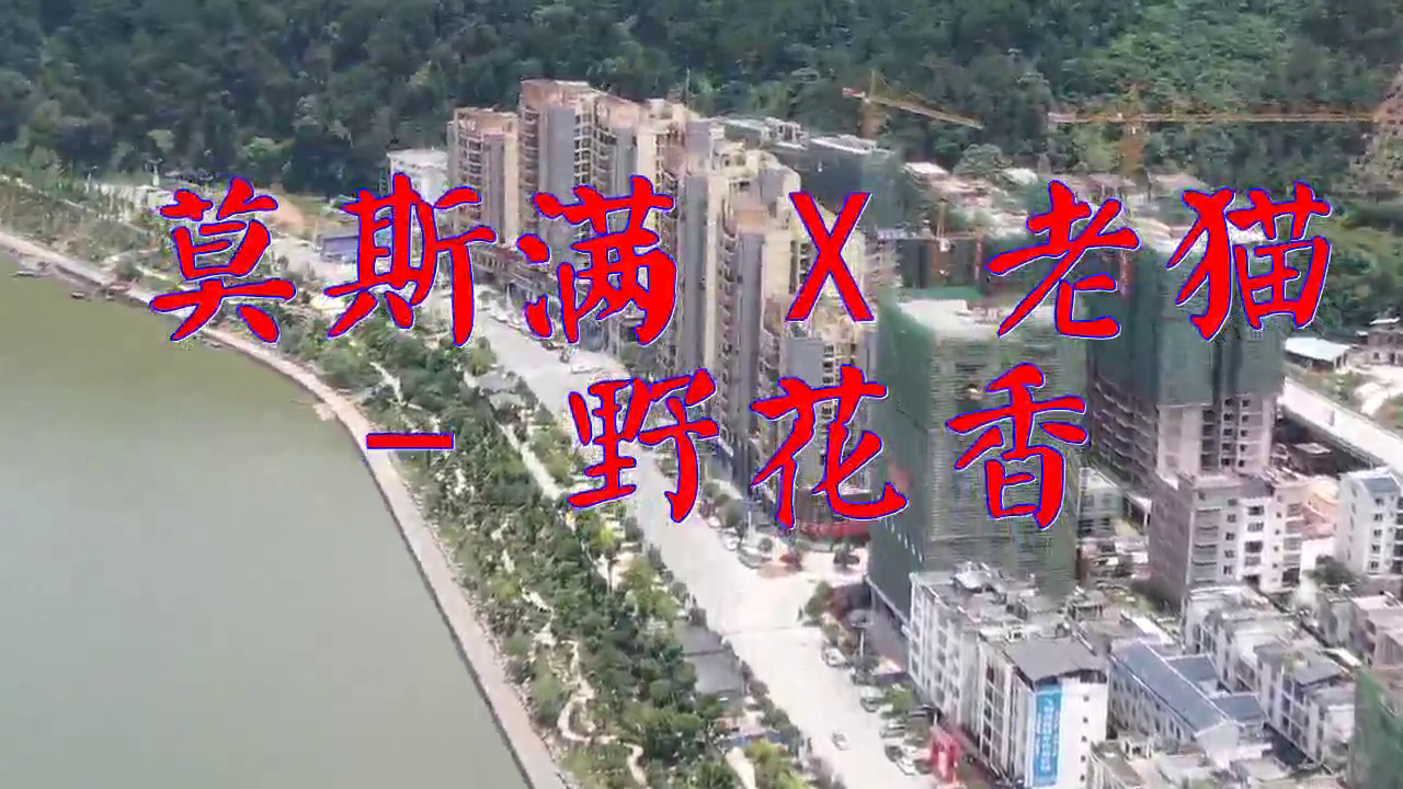 dj何鹏的一首《莫斯满 x 老猫 - 野花香》,至今仍然百听不厌