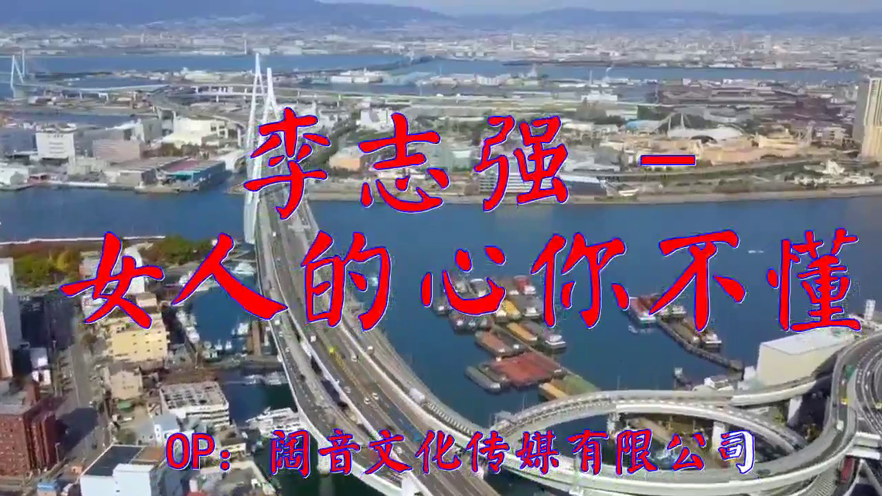 dj何鹏的《李志强 - 女人的心你不懂》,静静聆听,富有磁性