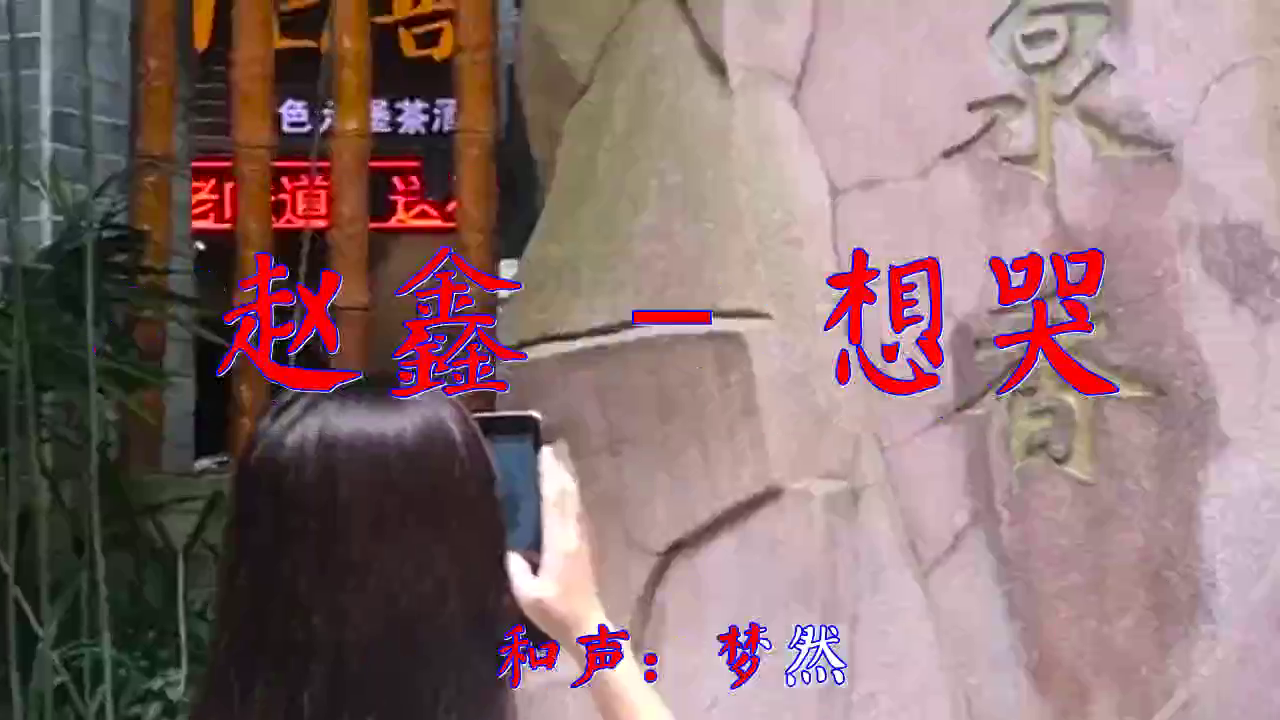 dj何鹏的一首《赵鑫 - 想哭》,燕语莺声,引人入胜