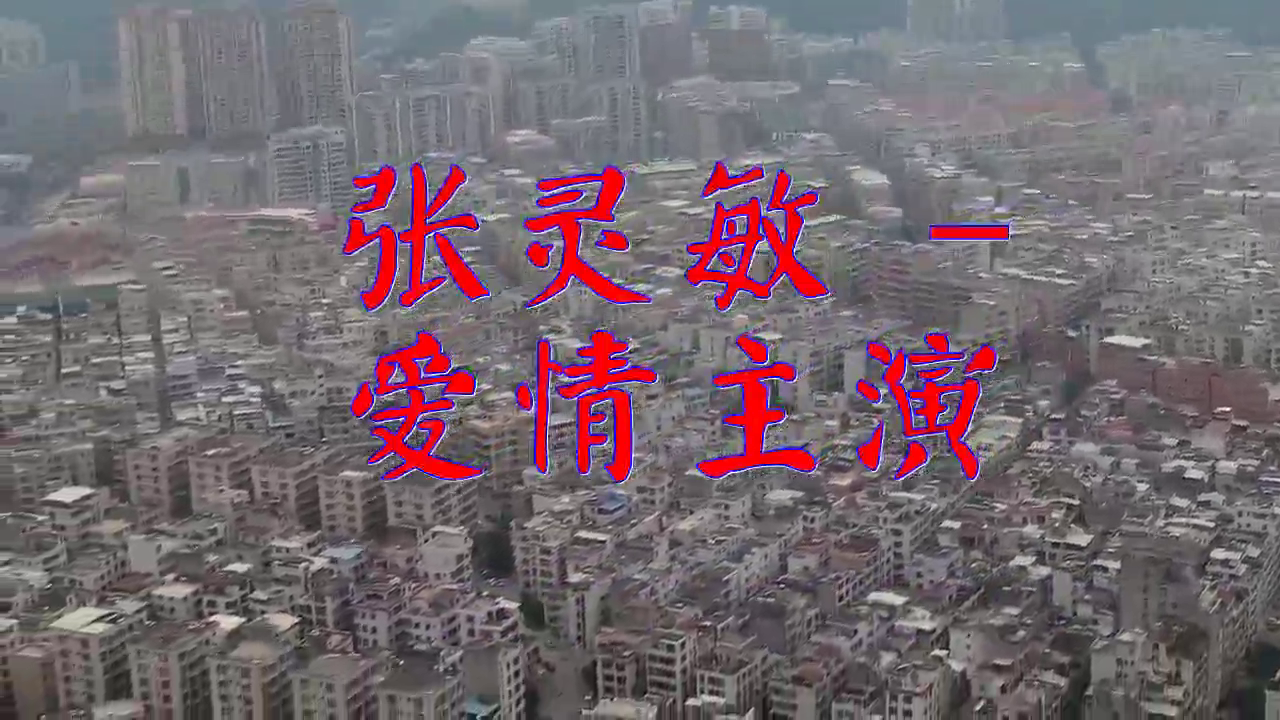 dj何鹏的一首《张灵敏 - 爱情主演》,好听极了,嗓音独特