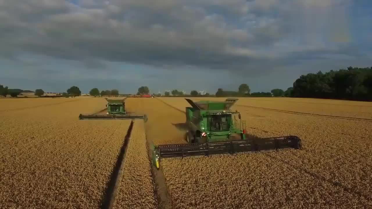 这才是粮食丰收大场面,实拍美国农村收割农作物,太震撼了