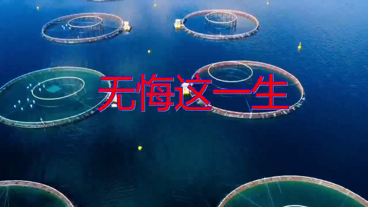 分享beyond的经典歌曲《无悔这一生》,宛如天籁,人靓歌甜
