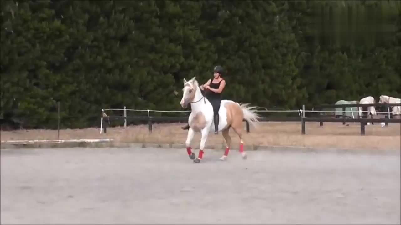 少女骑着骏马跨栏，马跳跃能力非常强，轻松跨过
